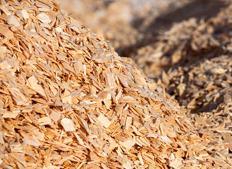 Wood Chips