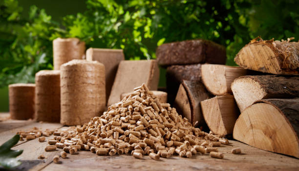 Biomass Briquettes
